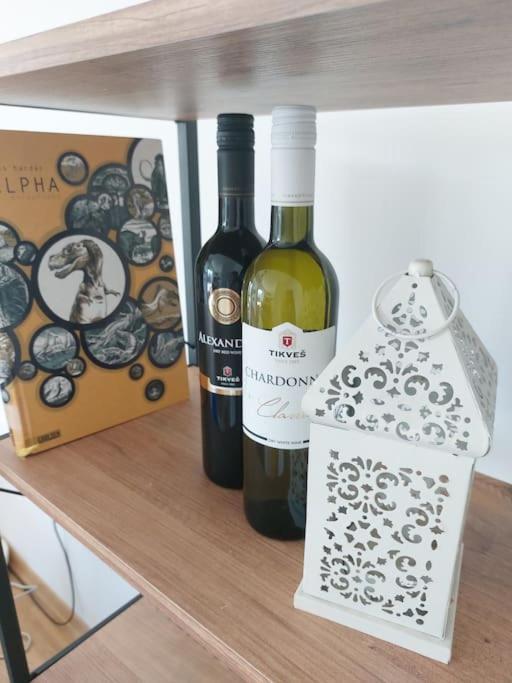Skopje Family Business Apartment Екстериор снимка